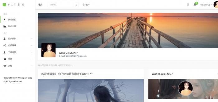 图片[4]-Swapidc大气2019最新模板-果果资源网