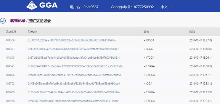 gongga区块链源码 数据节点网站源码