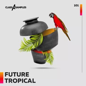 Tropical House&Future Pop多风格采样包】Class A Samples – Future Tropical-果果资源网