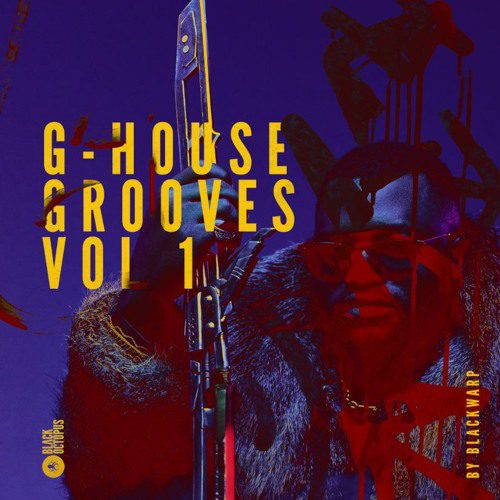 G-House&Bass House风格采样包】Black Octopus Sound – G-House Grooves Vol 1-果果资源网