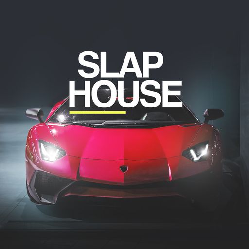Slap House风格采样包】Whitenoise Records Slap House-果果资源网